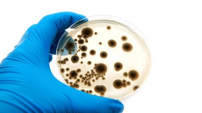 污水处理中水解酸化工艺原理与特征丨青岛快盈500
